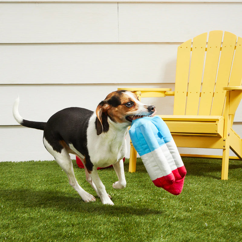 BARK Rocket Pupsicle Dog Toy