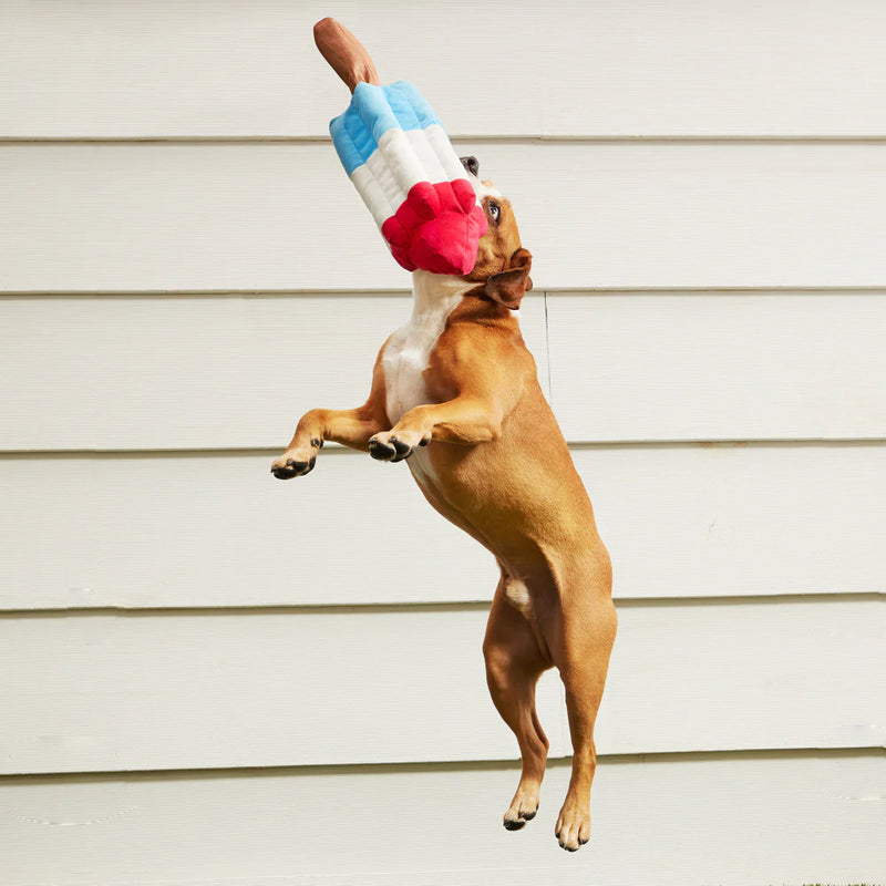 BARK Rocket Pupsicle Dog Toy