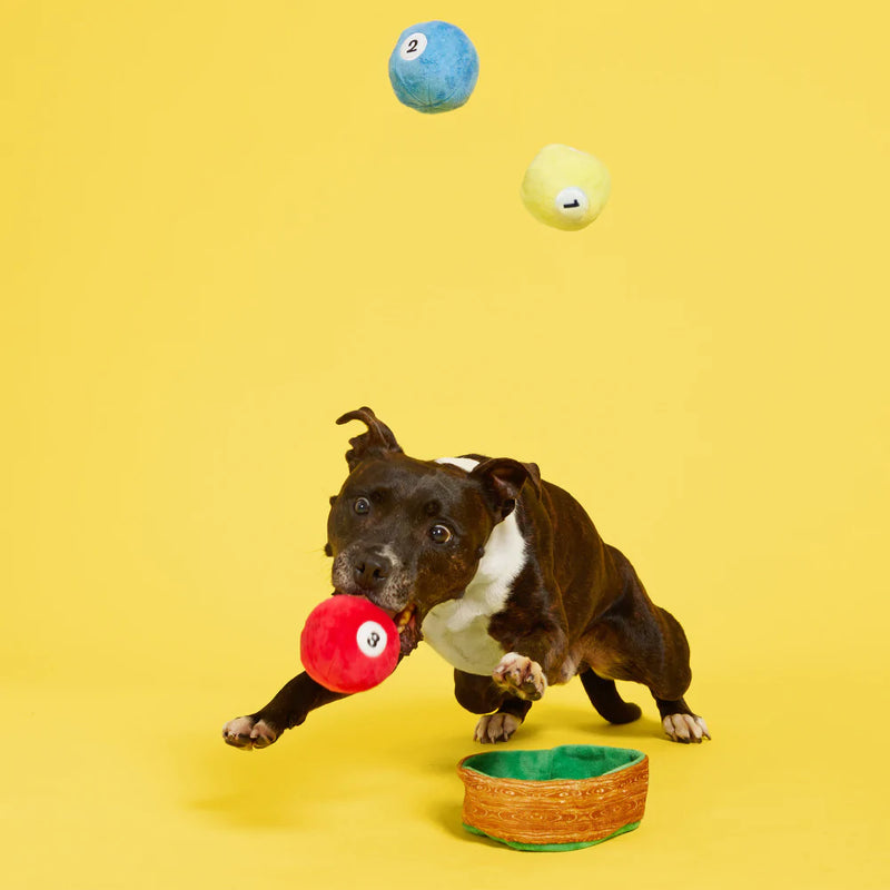 Bark Box Willard's Billiards Dog Toy