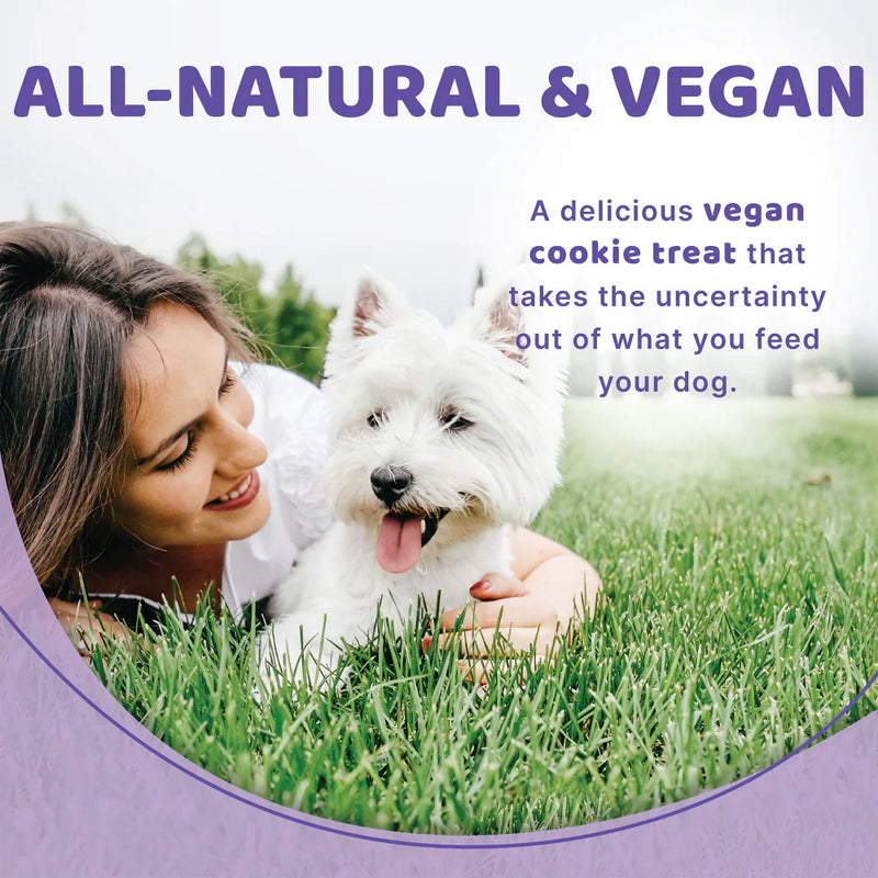 Halo Garden of Vegan Oats, Peanut Butter & Banana Biscuit Dog Treats