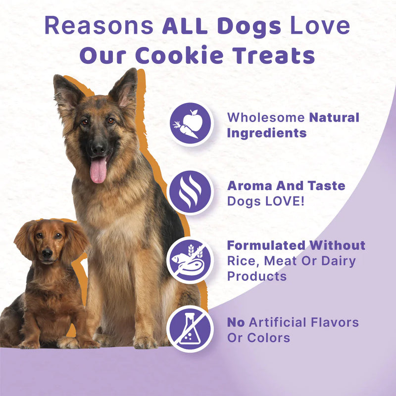 Halo Garden of Vegan Oats, Peanut Butter & Banana Biscuit Dog Treats
