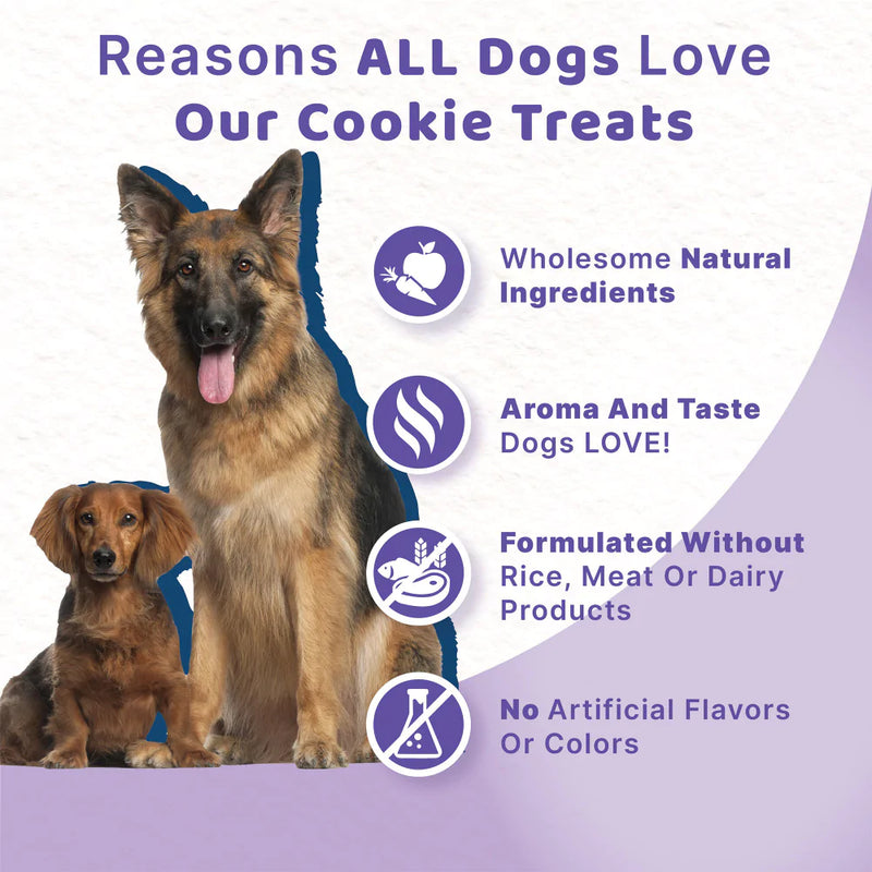 Halo Garden of Vegan Oats n' Blueberries Biscuit Dog Treats