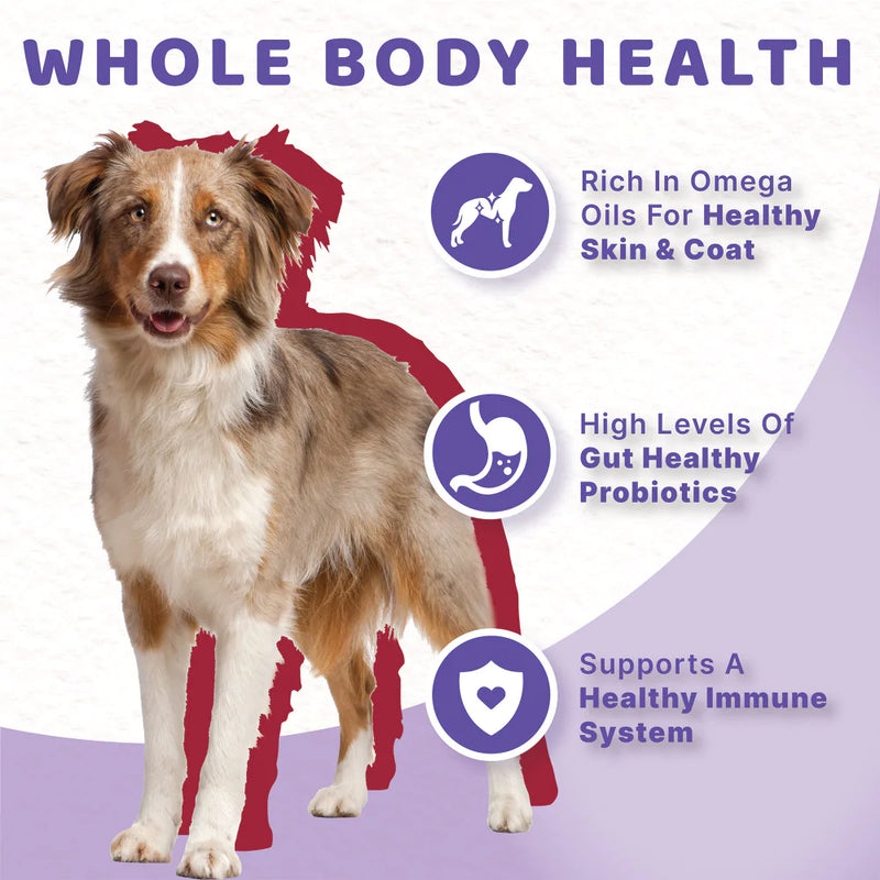 Halo Halo Adult Dog Holistic Beef & Beef Liver Recipe Dog Food
