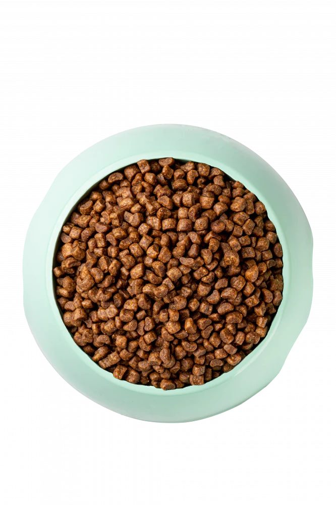 Optimeal Vital Nurture Kitten Chicken & Rice Recipe Dry Cat Food