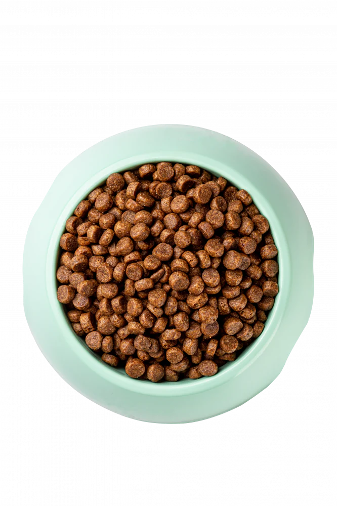 Optimeal Skin & Digestive Support Salmon & Brown Rice Recipe Adult Cat Dry Food