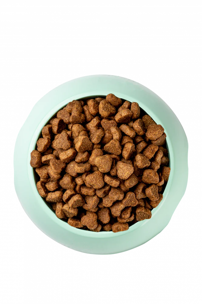 Optimeal Large Breed Nutrient Balance Chicken & Rice Recipe Adult Dog Dry Food