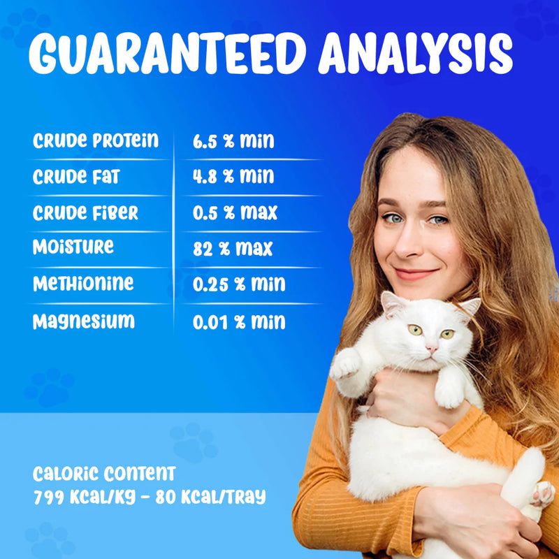 Forza10 Nutraceutic Actiwet Urinary Support Icelandic Fish Recipe Wet Cat Food