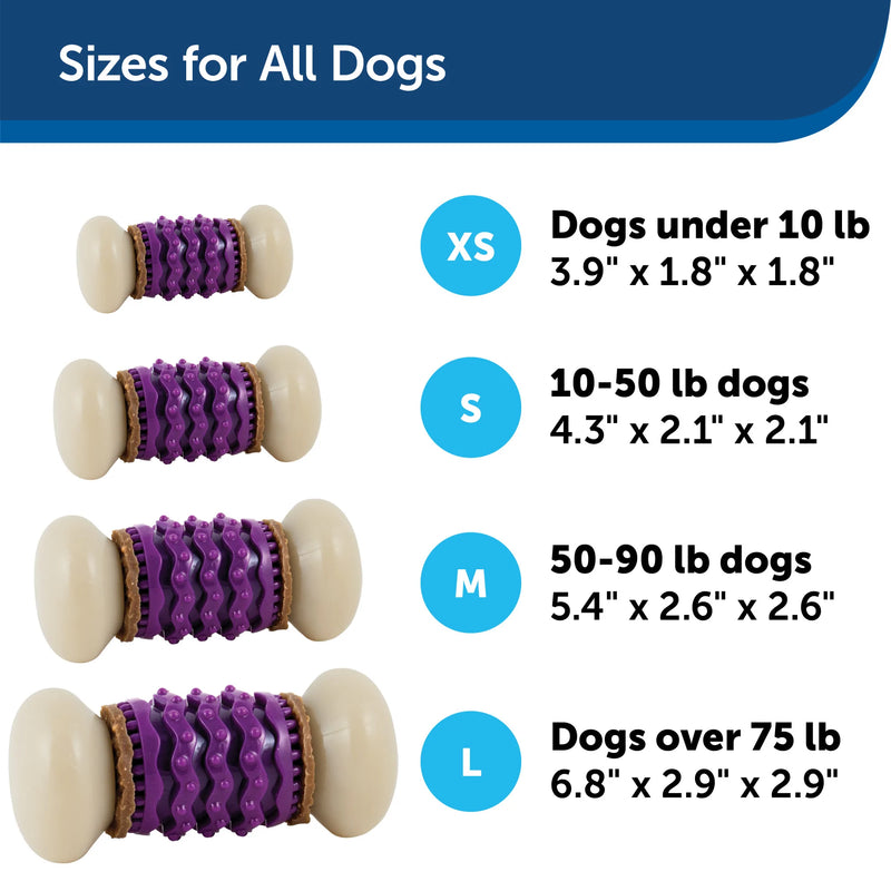 Sizes for all dogs