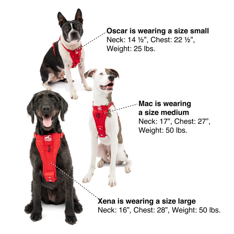 Kurgo Tru-Fit Enhanced Strength Dog Harness - Crash Tested Car Safety Harness for Dogs, No Pull Dog Harness, Includes Pet Safety Seat Belt, Black