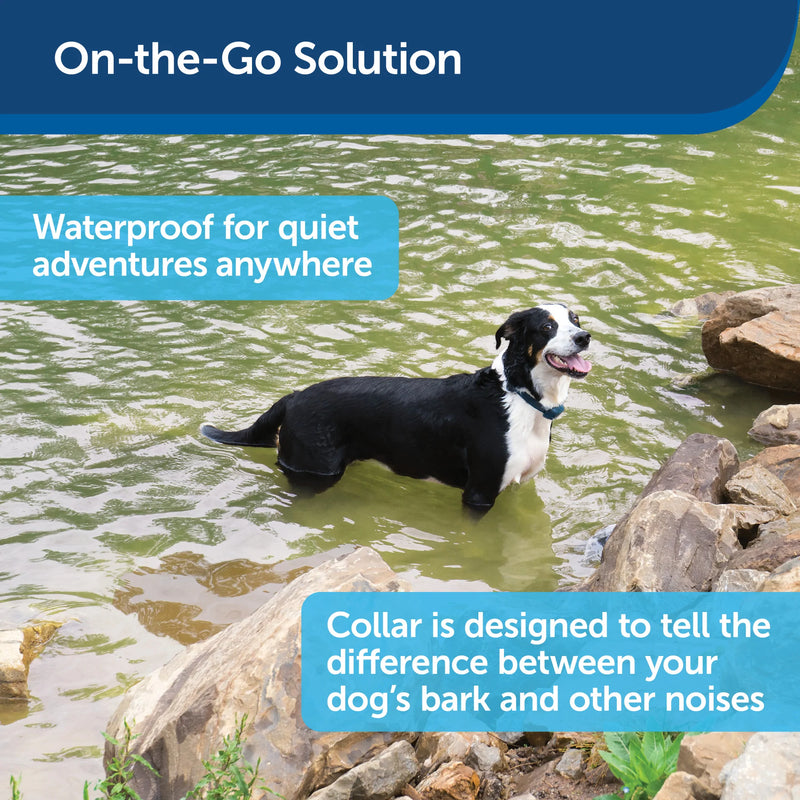 PetSafe Rechargeable Bark Collar, 15 Levels of Automatically Adjusting Static Correction - Rechargeable, Waterproof - Reduces Barking and Whining - for Medium and Large Dogs