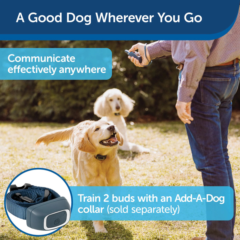 PetSafe Remote Trainer Dog Training Collar - 3 Training Modes: Tone, Vibration, 15 Levels of Static Stimulation, Standard for Dogs over 8lb+ - Waterproof, Durable, Rechargeable - 100 Yards (300 Feet)