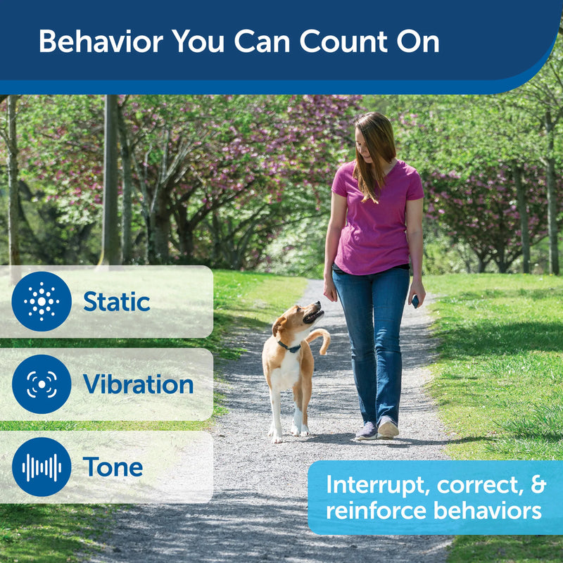 PetSafe Remote Trainer Dog Training Collar - 3 Training Modes: Tone, Vibration, 15 Levels of Static Stimulation, Standard for Dogs over 8lb+ - Waterproof, Durable, Rechargeable - 100 Yards (300 Feet)