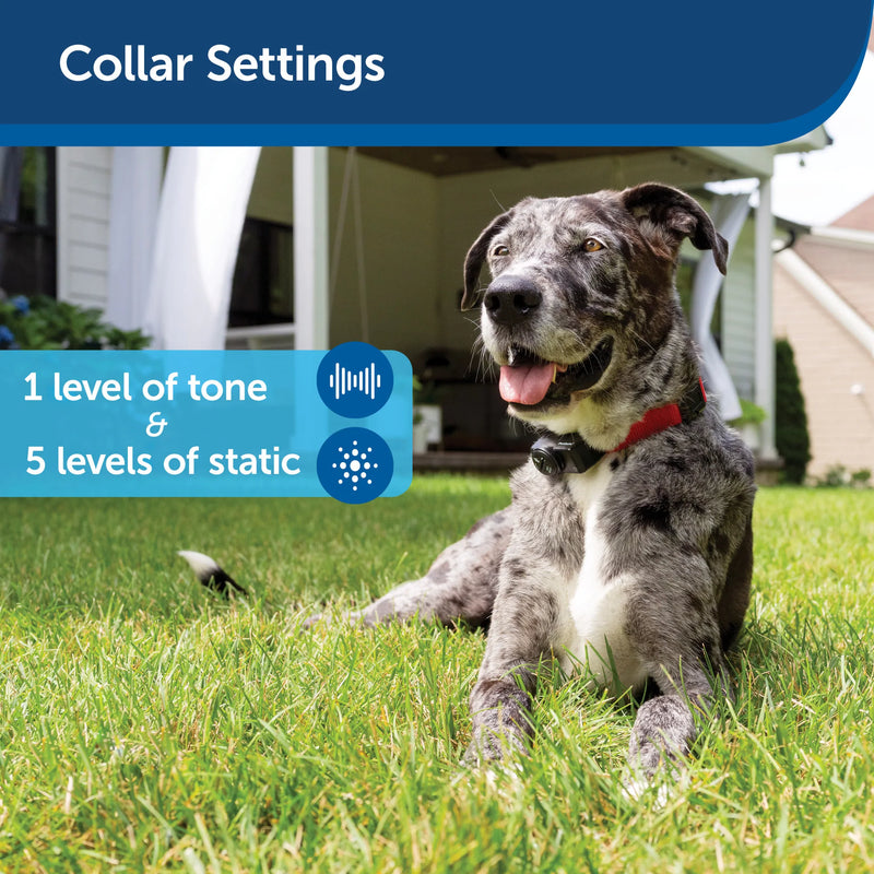 PetSafe Wireless Fence Pet Containment System, Covers up to 1/2 Acre, for Dogs over 8 lb, Waterproof Receiver with Tone / Static Correction - From The Parent Company of INVISIBLE FENCE Brand