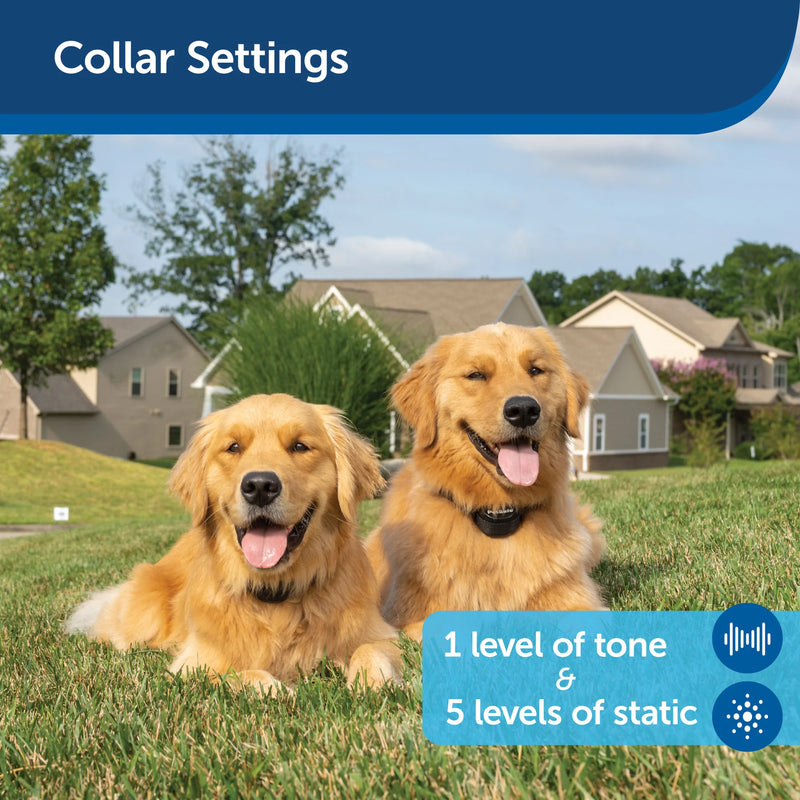 PetSafe Stay + Play Wireless Fence Receiver Collar Only for Dogs and Cats, Waterproof and Rechargeable, Tone and Static Correction - From The Parent Company of INVISIBLE FENCE Brand