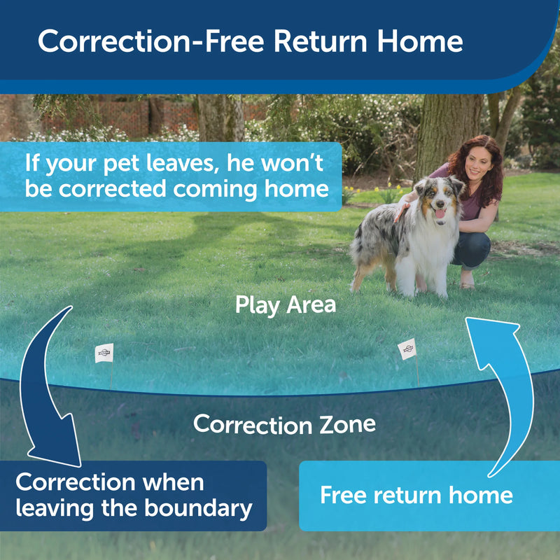 PetSafe Stay + Play Wireless Fence Receiver Collar Only for Dogs and Cats, Waterproof and Rechargeable, Tone and Static Correction - From The Parent Company of INVISIBLE FENCE Brand