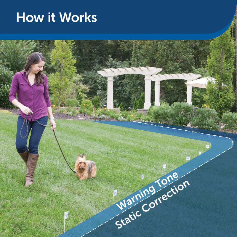 PetSafe Ultralight Receiver Collar for Dogs and Cats over 8 lb. - Waterproof with Tone and Static Correction - From the Parent Company of INVISIBLE FENCE Brand